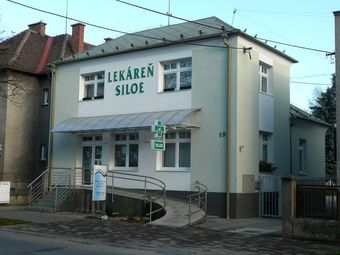 Lekre Siloe v Martine